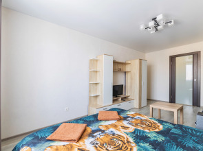 Апартаменты на Револиционной