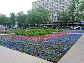 Апартаменты Пушкинская