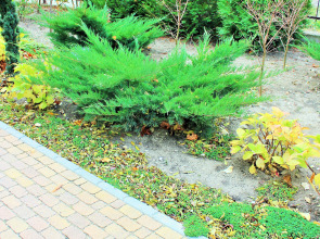 Отель Гермес