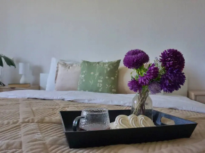 Квартира Однушка в историческом центре