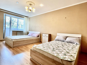 Apartamenty Dvuhkomnatnaa Kvartira v Centre u Parka Imeni Gor'kogo