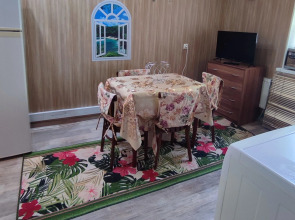 Апартаменты на Александра Невского 82-2