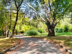 Апартаменты Семейные апартаменты Адлер