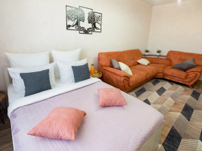 Dvushka V Samom Tsentre Irkutska Dlya 6ti Chelovek Apartments
