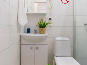 Апартаменты Гости Любят на Владимирской