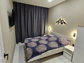 Квартира Олимпийская 83