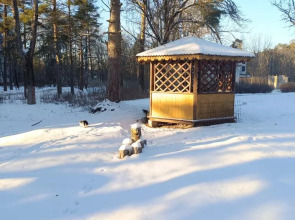 Отель Сосновый бор