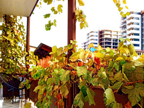 Гостевой дом Калипсо