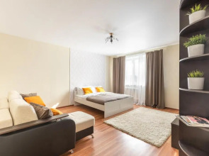 Квартира Толстой Лейтейзена