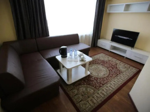 Отель ALTAI business hotel