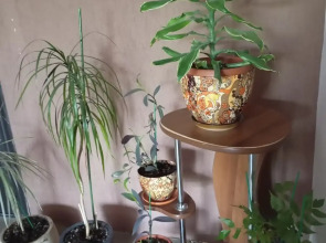 Гостиница Бестужев