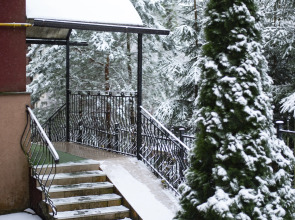 Апартаменты Светогор