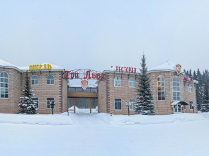 Три Льва