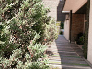 Гостевой дом Симирам