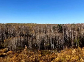 Квартира у ОЗЕРА