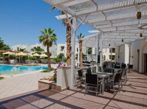 Amphoras Aqua Adults Friendly