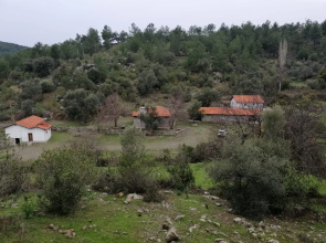 Iztuzu Homes Hotel