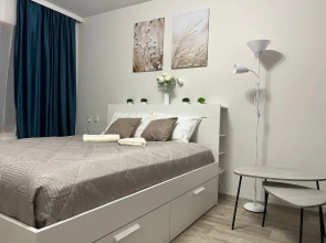 "DaRent Karelia" na Pervomaiskoi d.12 Apartments