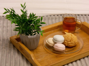 Квартира VenskayaApart