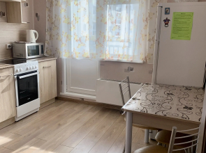 Квартира Притомский проспект эконом однушка