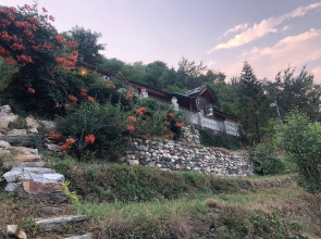 Barda Estate Tirthan Villa	