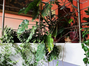 Гостиница Афоня