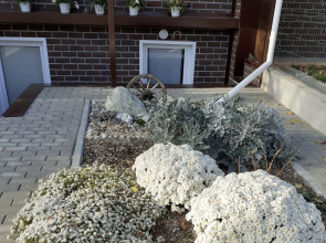 Гостевой дом Дом с лилиями