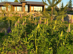 Гостевой Дом О'Берег