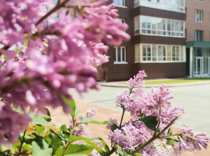 Квартира студия Галерея Рядом Новосибирск