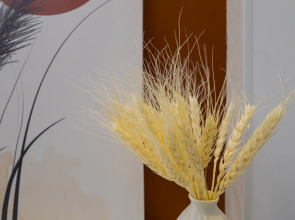 Квартира Студия Осенний Лес в ЖК Прокшино