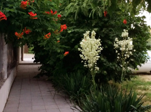 Гостевой Дом Татьяна