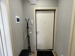 Апартаменты 1-комнатная квартира у Фермер Базара