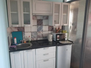 Апартаменты Студия с Балконом и Видом на Город на Гагарина