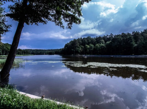 Квартира Светлогорск с Видом на Озеро