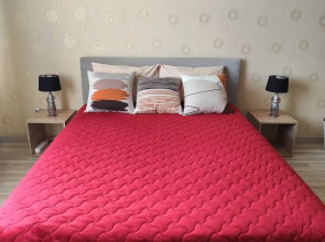 Просторная квартира с видом на Красную Площадь