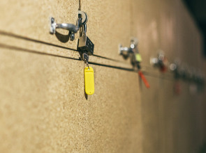 Хостел Хаски