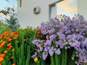 Гостевой дом Sun Hill