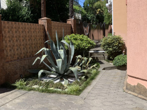 Гостевой дом Бамбуковый Рай