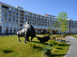 Psb Patriot Cosmos Hotels Hotel