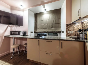 Апартаменты лофт квартиры Struni