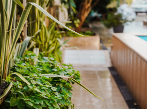 Гостевой дом Мзымта