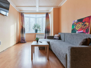 Квартира на Озерковой 51к2