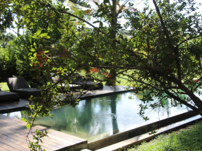 Kaju Green Eco Lodges Hotel
