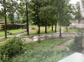 Мини-отель Ромашка