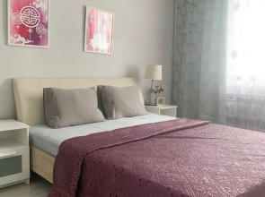 Apartamenty Sovremennaa evrotreska v centre do 7 celovek infrastruktura radom