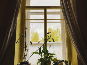 Хостел Chickadee