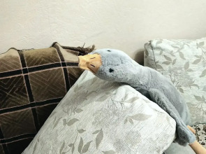 Квартира в Новостройке на Ул Богомягкова 2