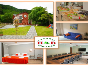 Hotel Holiday Borjomi