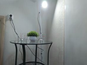 Апартаменты Брусничная Студия