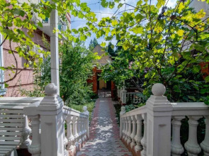 Отель Витекс